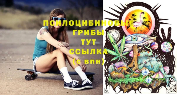 дурь Костерёво
