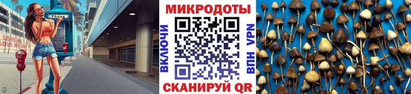 Купить где  Боровичи  Галлюциногенные грибы мицелий 
